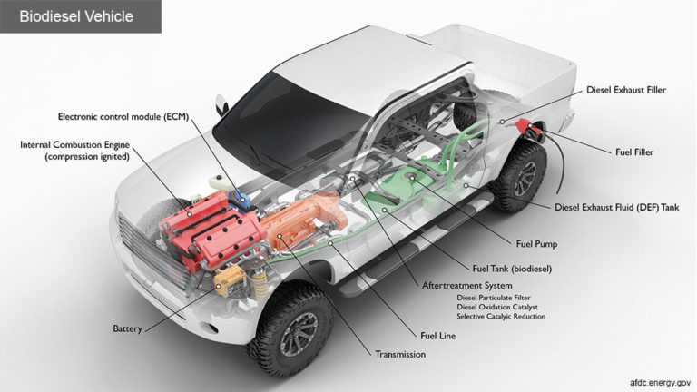 Biodiesel Fuel: One Man’s Trash is Another Man’s Fuel